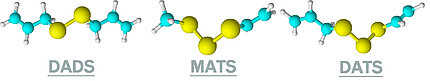 Allylsulfides
